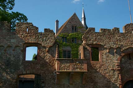 Heidelberg-Handschuhsheim Die Tiefburg