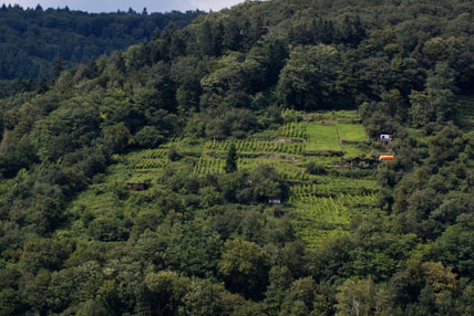 Odenwald